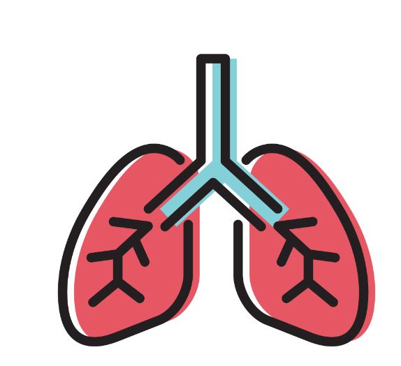 Pulmones,